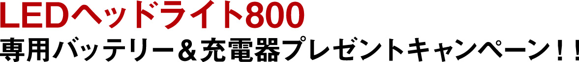 LEDヘッドライト800