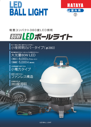 80W LEDボールライト