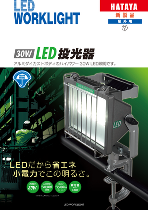 30W LED投光器