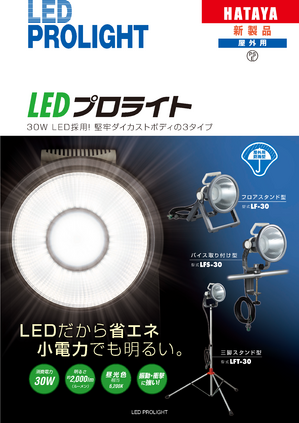 30W LEDプロライト